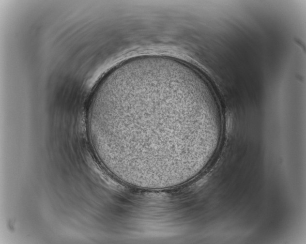 X0000100391498200806130940