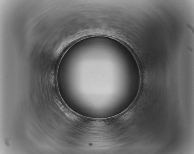 X0000100391499200806130940