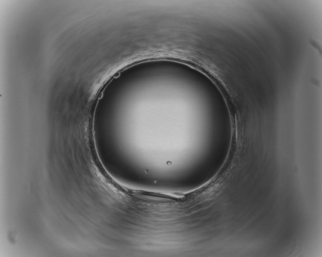 X0000100391500200806130940