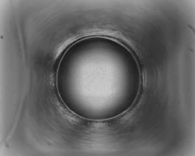 X0000100391501200806130940