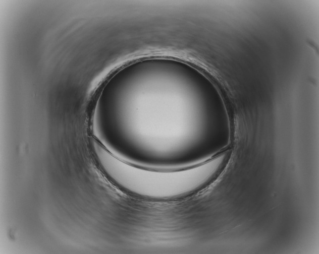 X0000100391502200806130940