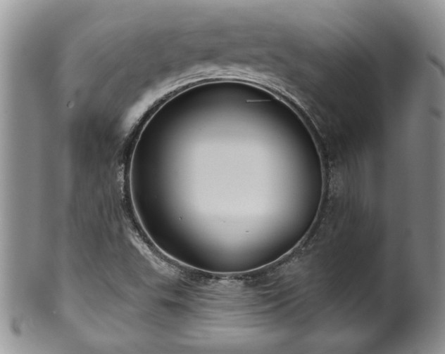 X0000100391503200806130940