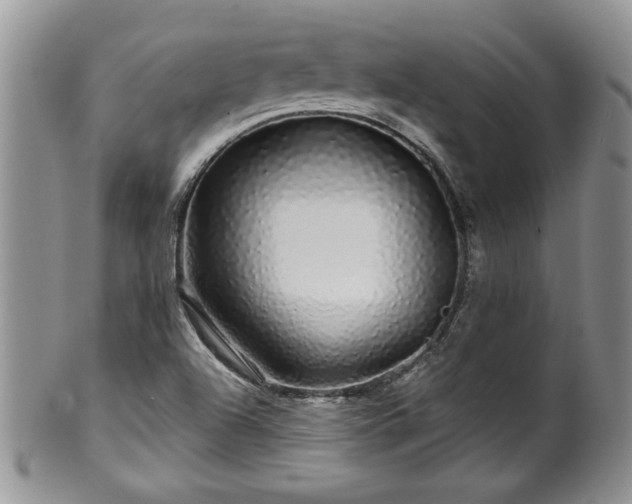 X0000100391504200806130940