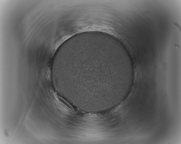 X0000100391505200806130940