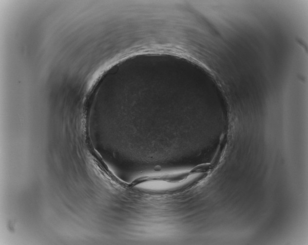 X0000100391506200806130940