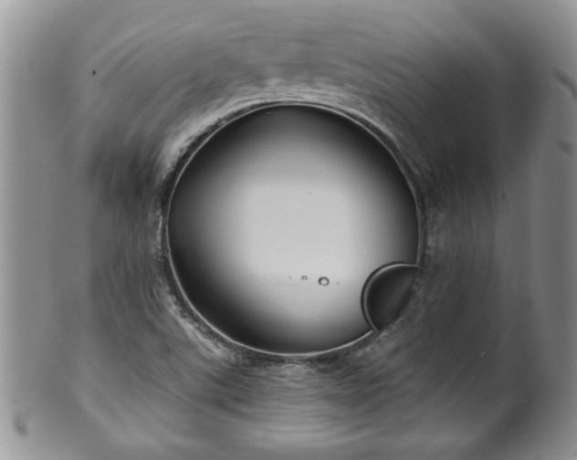 X0000100391507200806130940