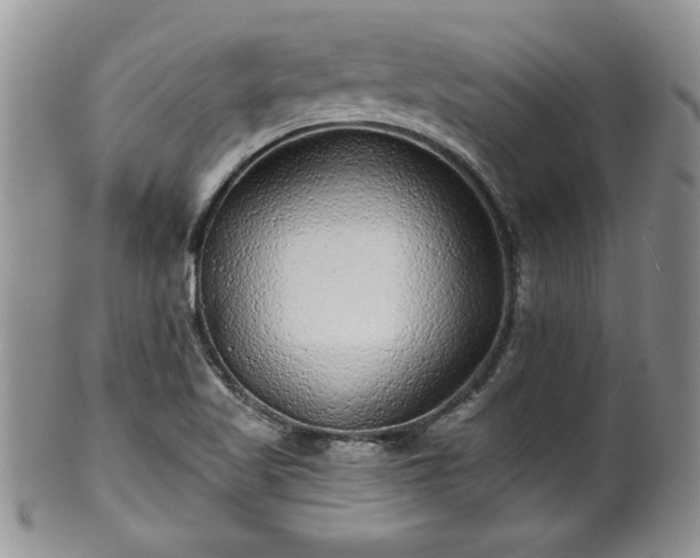 X0000100391509200806130940