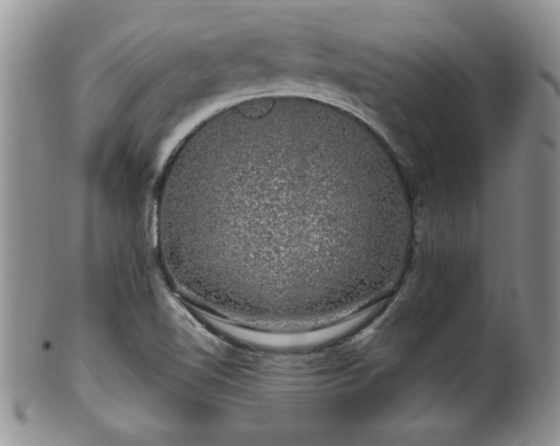 X0000100391510200806130940