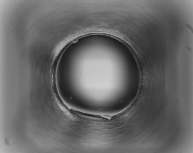 X0000100391511200806130940