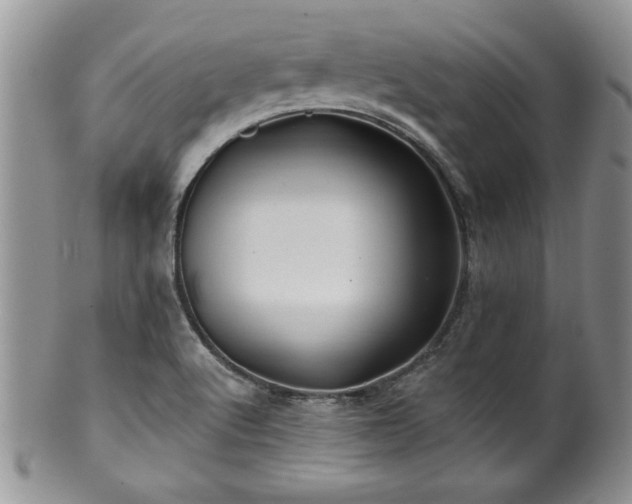 X0000100391512200806130940