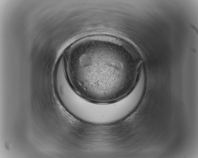 X0000100391514200806130940