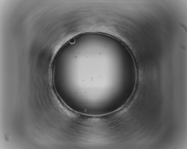 X0000100391517200806130940