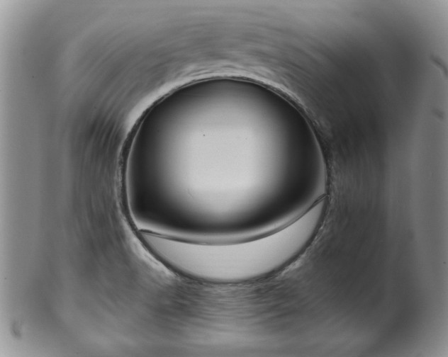 X0000100391518200806130940