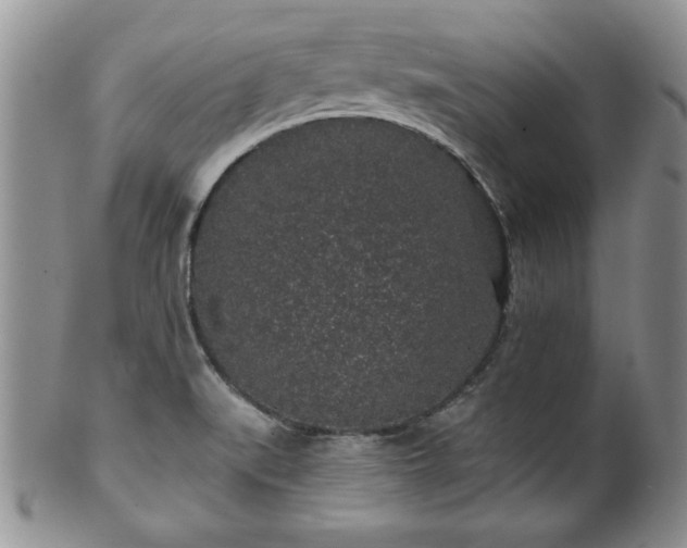 X0000100391519200806130940