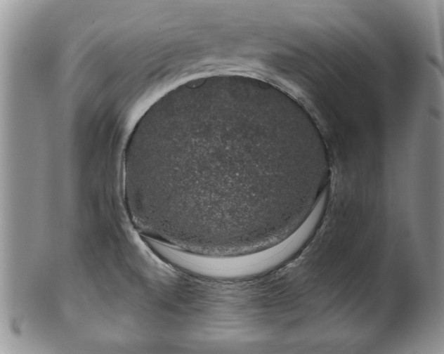 X0000100391520200806130940