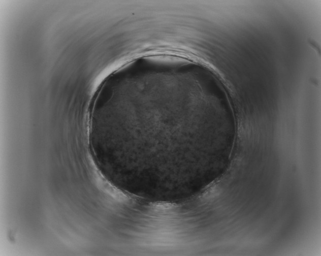 X0000100391522200806130940