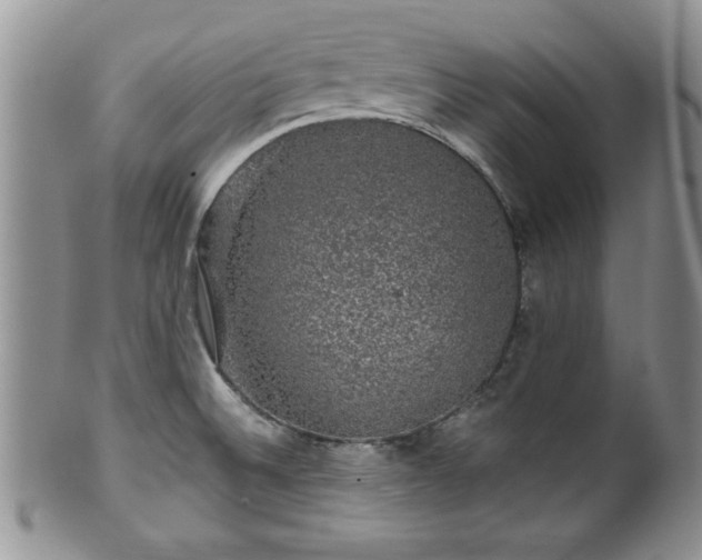 X0000100391524200806130940