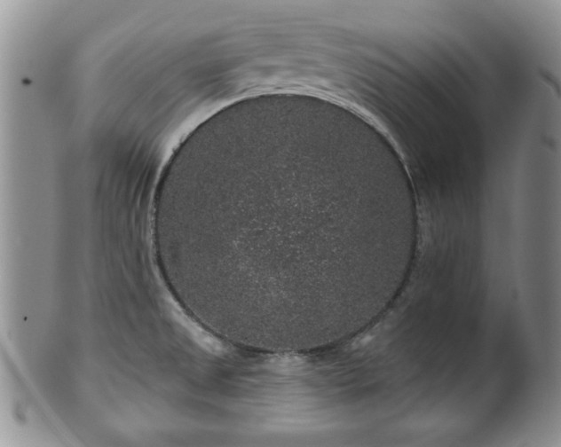 X0000100391525200806130940