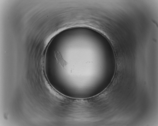 X0000100391526200806130940