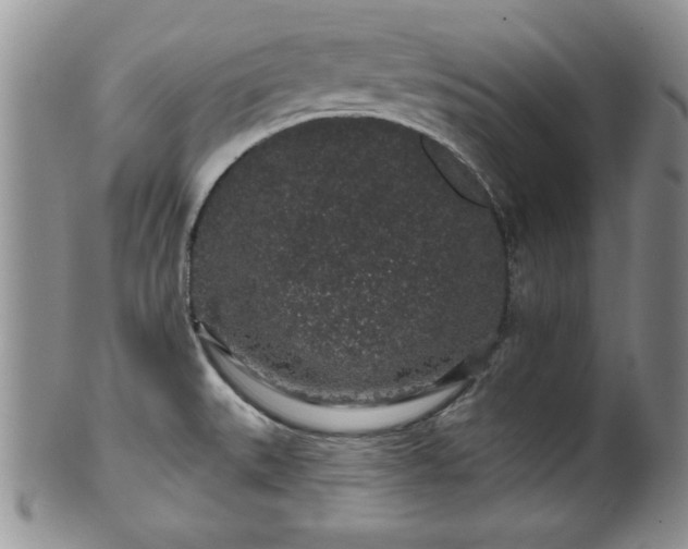 X0000100391527200806130940