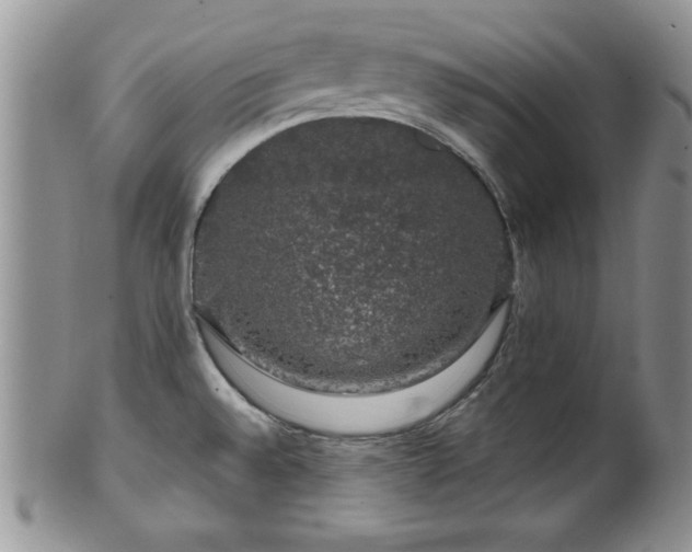 X0000100391528200806130940