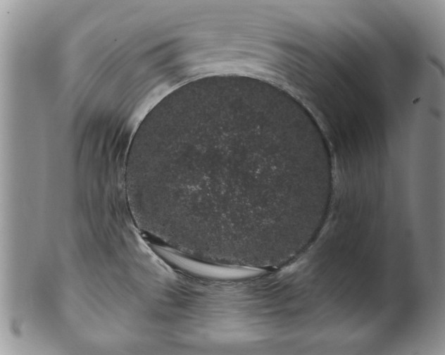 X0000100391529200806130940