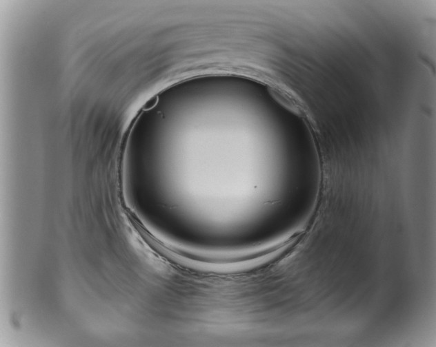 X0000100391530200806130940