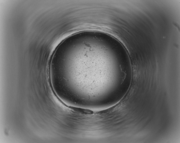 X0000100391531200806130940