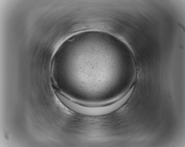 X0000100391532200806130940