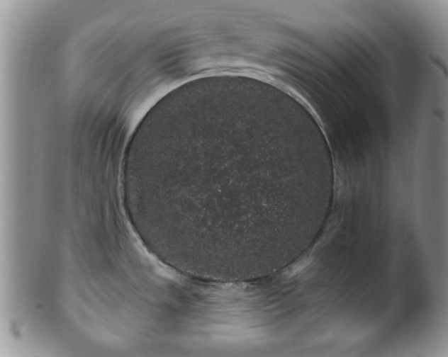 X0000100391533200806130940