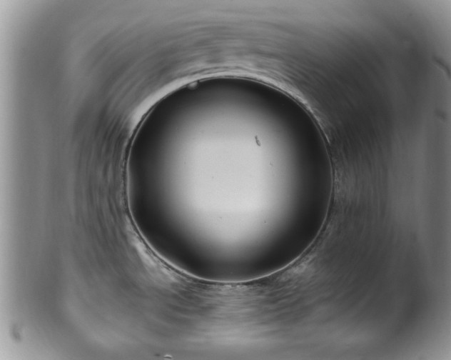 X0000100391534200806130940