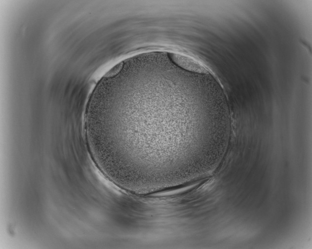 X0000100391535200806130940