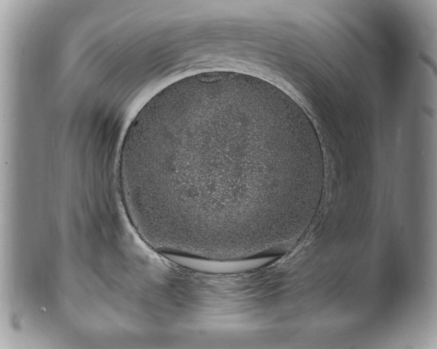 X0000100391536200806130940