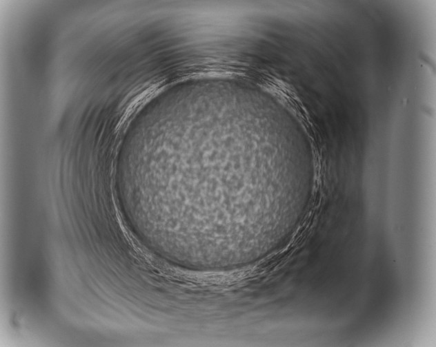 X0000100390001200806201724