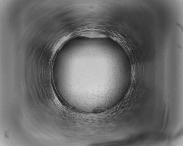 X0000100390003200806201724