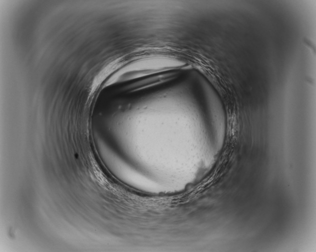 X0000100390004200806201724