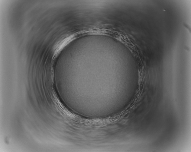 X0000100390005200806201724