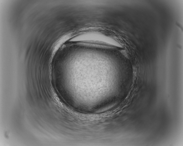 X0000100390006200806201724