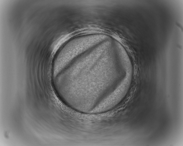 X0000100390007200806201724