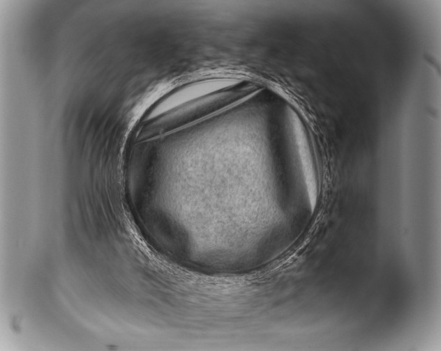 X0000100390008200806201724