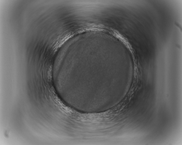 X0000100390009200806201724