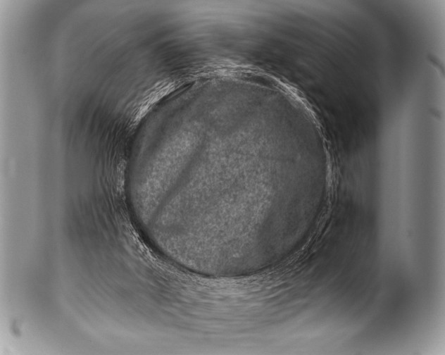 X0000100390010200806201724