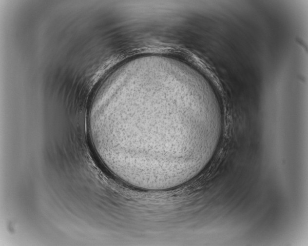 X0000100390011200806201724