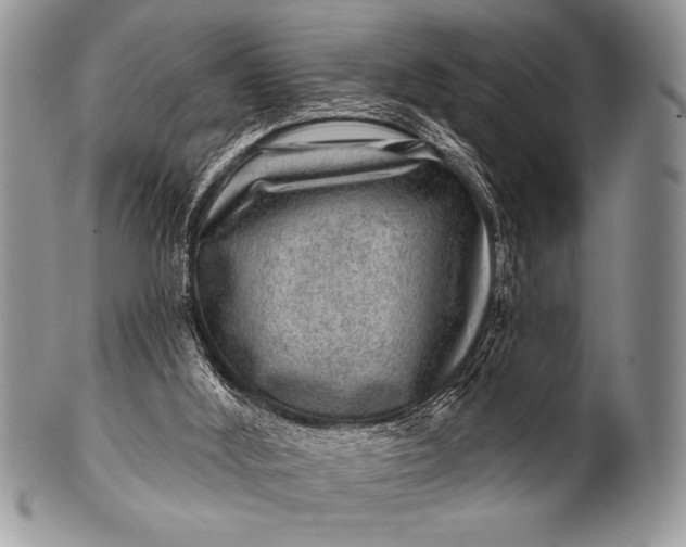 X0000100390012200806201724