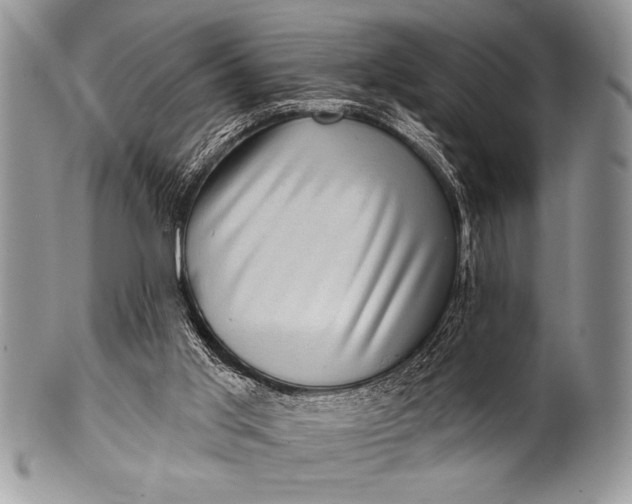 X0000100390013200806201724