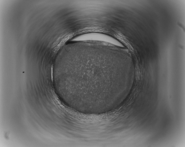 X0000100390014200806201724