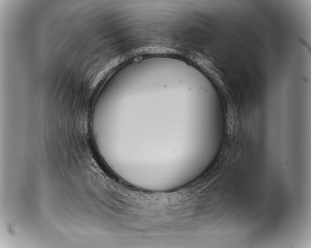 X0000100390015200806201724