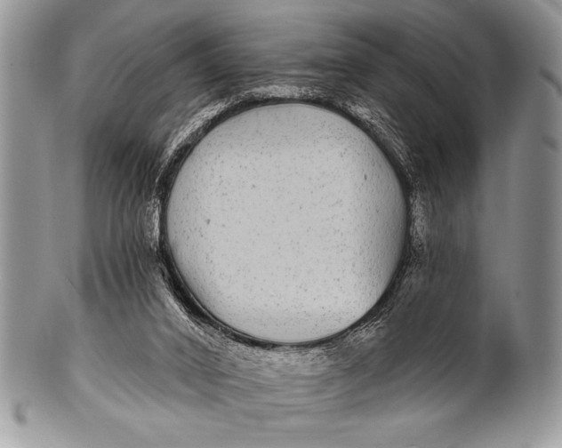 X0000100390016200806201724