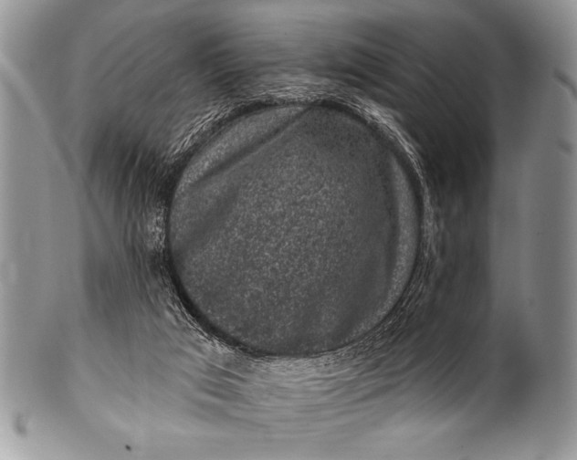 X0000100390017200806201724