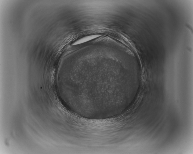 X0000100390018200806201724